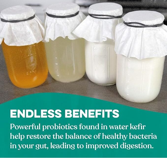 Cultures for Health Kefir Starter Culture | 4 Packets Freeze Dried Starter Powder | Make Kefir with Milk, Water, or Juice | Re-Culture Kefir Probiotic Drinks 2-7x Each | Cultures in Less Than a Day