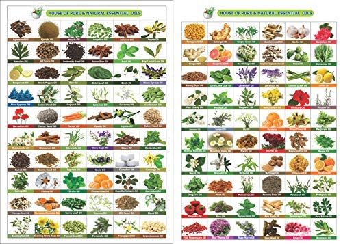 Pine (Pinus Sylvestris) Essential Oil Pure & Natural - Undiluted Uncut Oil - - Therapeutic Grade - 30ml