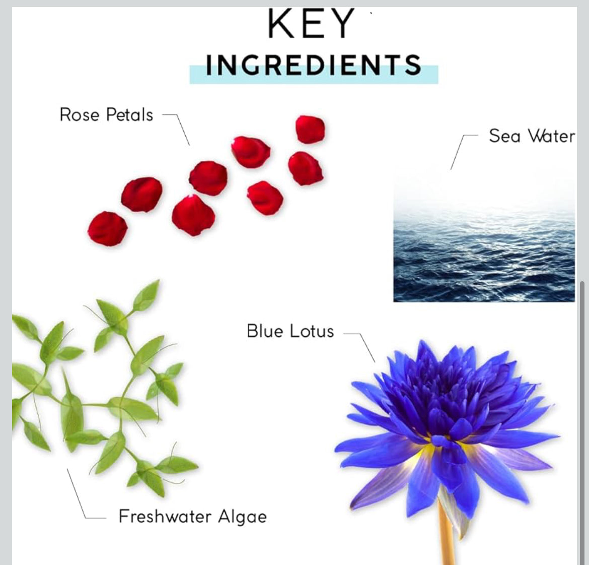 MyChelle Dermaceuticals Ultra Hyaluronic Hydrating Cream (1.0 Fl Oz) - Rich Hydration for Dry Skin with Vegan Hyaluronic Acid, Help Plump Skin and Help Reduce Appearance of Fine Lines and Wrinkles