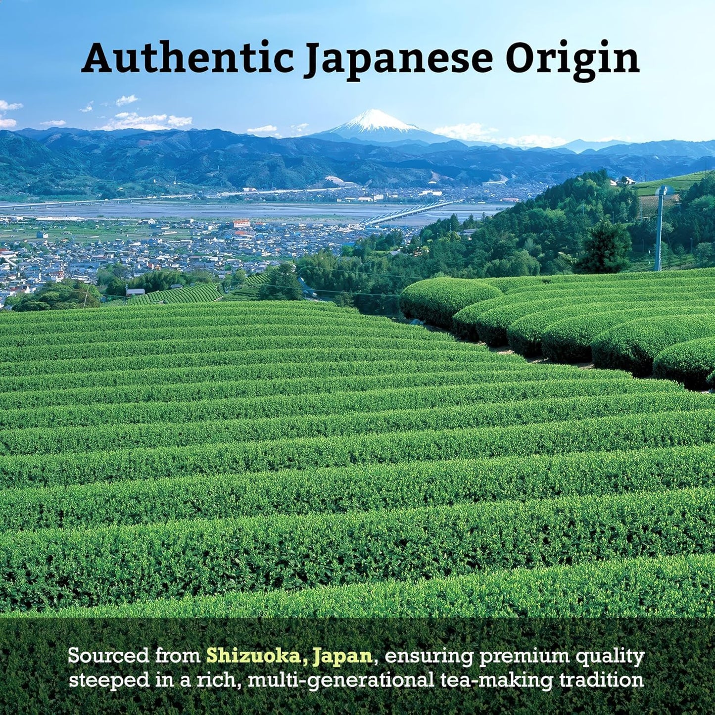 SUGIMOTO TEA Japanese Kukicha Stem Green Tea Loose Leaf 3.0 oz (86 g) Pack of 1