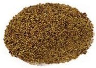 Red Clover, Microgreen for Sprouting, Red Clover Sprouting Seeds - 12 Ounces, Resealable Bag, Sprouts, Microgreens, Gardening, Food Storage