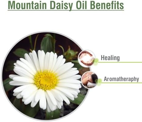 Mountain Daisy (Celmisia Spectabilis) Essential Oil 100% Pure & Natural (3.38 Fl Oz)