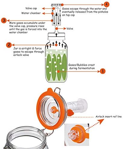 JILLMO Fermentation Jar, 1.5 Liter Glass Fermenting Jar with Fermenting Weights and Airlocks, Pack of 2
