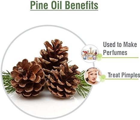 Pine (Pinus Sylvestris) Essential Oil Pure & Natural - Undiluted Uncut Oil - - Therapeutic Grade - 30ml