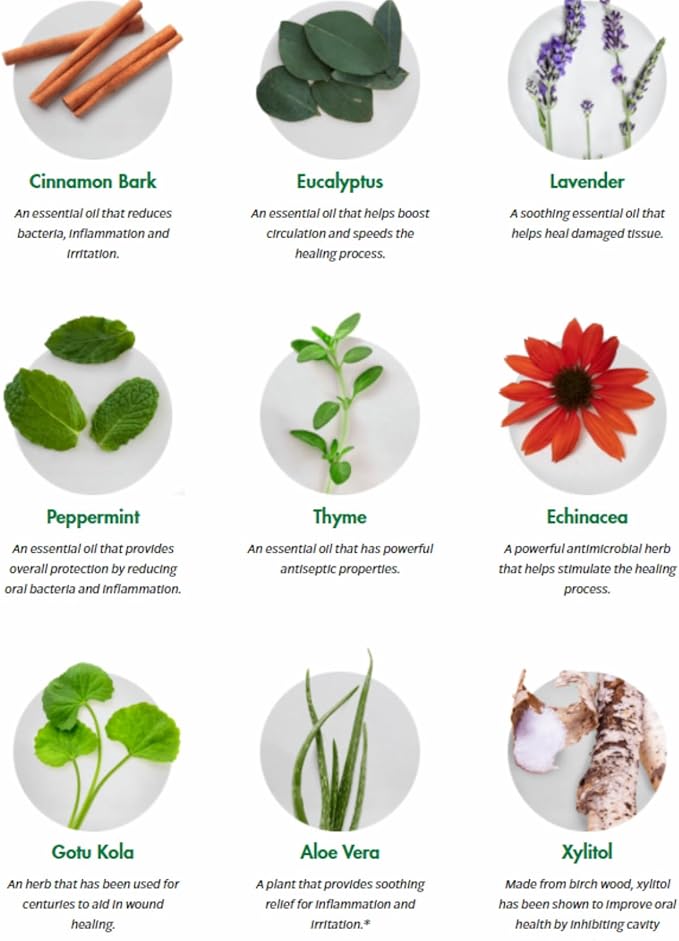 Dental Herb Company - Essentials Toothpaste - Truly Natural Fluoride-Free and SLS-Free - Superior Defense Against Bleeding and Irritated Gums, Dry Mouth, and Mouth sores. (4 oz.)