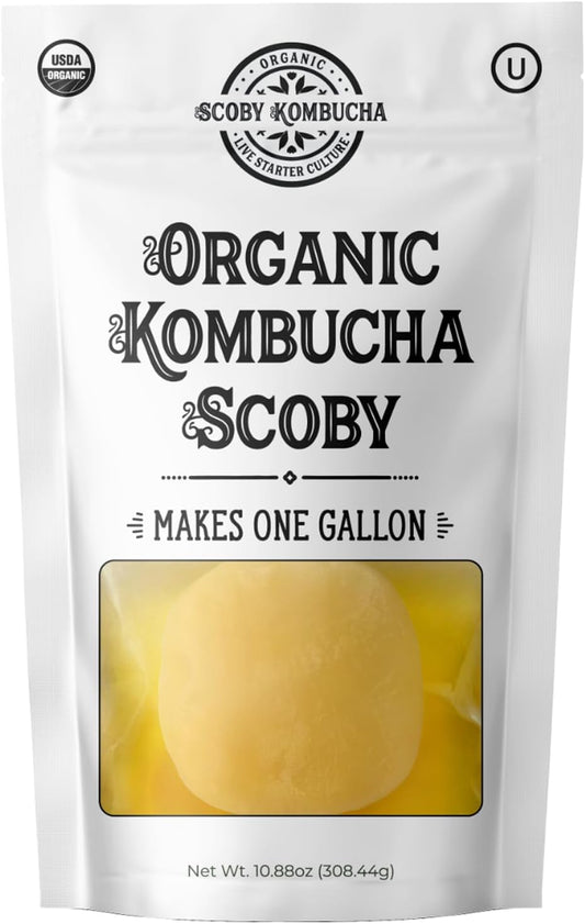 1 X Organic Kombucha Scoby - Live Culture by Scoby Kombucha