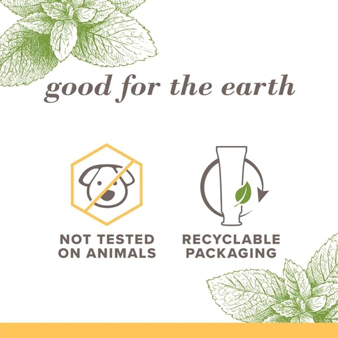 Burt's Bees Toothpaste, Natural Flavor, Fluoride-Free, Purely White, Zen Peppermint, 4.7 oz, Pack of 3