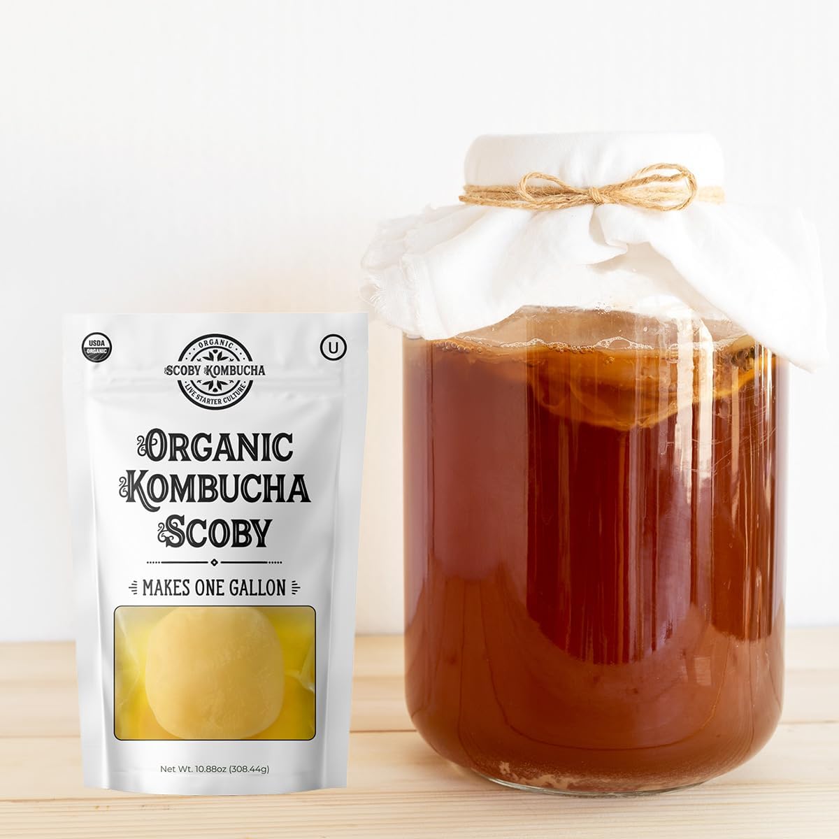 1 X Organic Kombucha Scoby - Live Culture by Scoby Kombucha