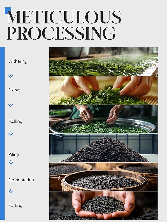 CO-OP 1950 Ripe Pu Erh Tea Loose Leaf, 150g, Premium Yunnan Whole Loose Large-Leaf Fermented Pu-erh, Smooth, Mellow & Rich, Pure Pine Smoke Aroma, No Additives, 20 Empty Teabags Included