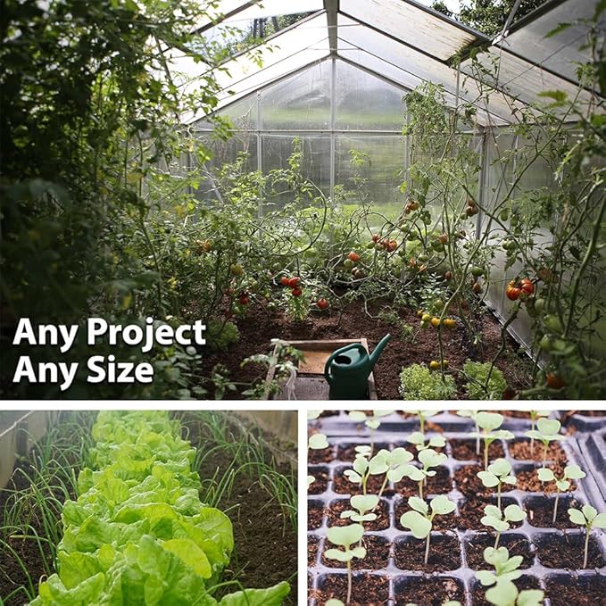 Organic Fenugreek Sprouting Seeds - Seeds for Planting, Hydroponics, Growing Sprouts, Grinding For Spices & More (5 Lb)