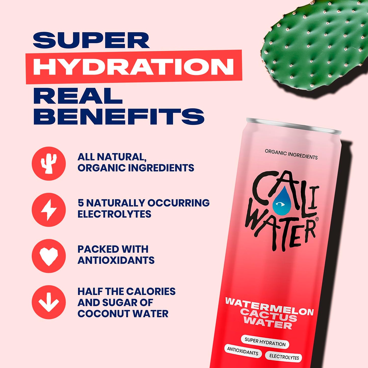Caliwater - Organic Cactus Water - Watermelon - 5g Sugar, 35 Calories - Half Sugar of Coconut Water - Natural Plant Based Hydration - Skin Care, Electrolyte Drinks - Flavored Water Beverages - 12 Cans