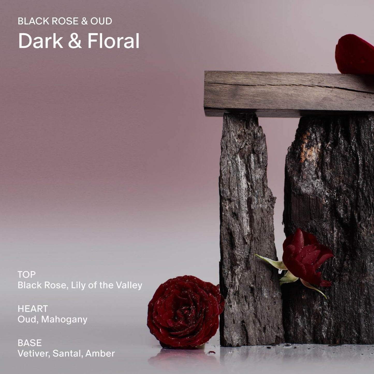 SALT & STONE Scented Candle for Women & Men | Hand-Poured, Aromatic & Fragrant | Coconut & Soy Blend Wax | 100% Cotton Wick | Long-Lasting 50 Hour Burn Time (8.5 oz) (Black Rose & Oud)