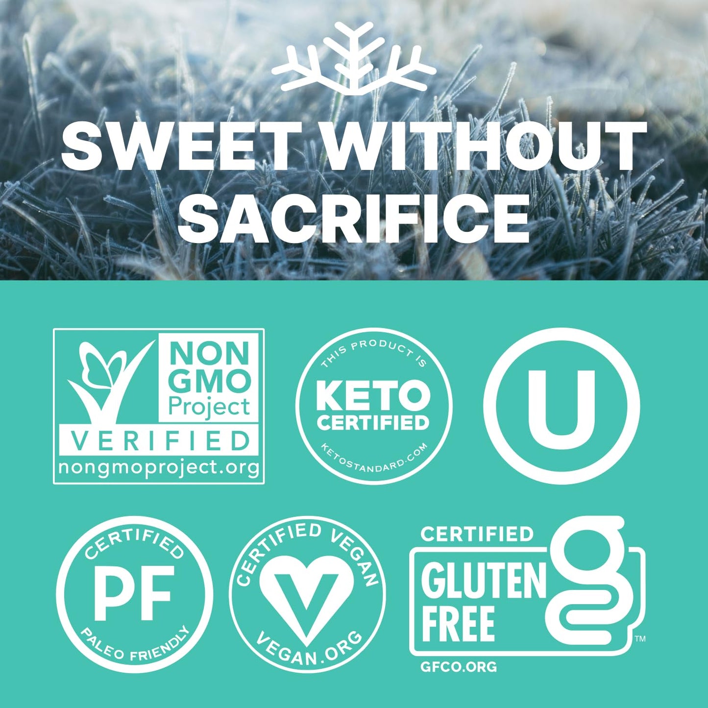 Wintergreen KETO Xylitol Candy Chips (3-Pack) - SNØ 1.5oz Tin - Sugar-Free Candy With Only 2 Ingredients | Low Carbs, Diabetic-Friendly, Non-GMO, Vegan, GF & Kosher | Purest candy in the world