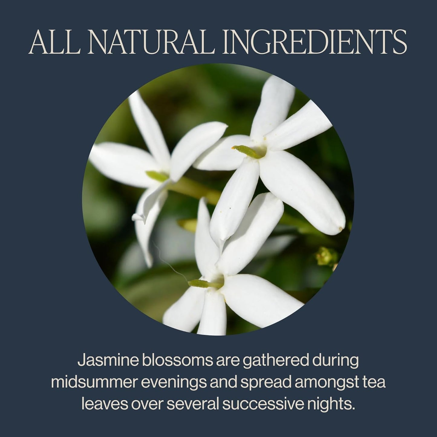 Rishi Tea Jasmine Green Tea - Organic Sachet Tea Bags, Caffeinated Scented Chinese Green Tea with Floral Aroma & Taste - 15 Count (Pack of 6)