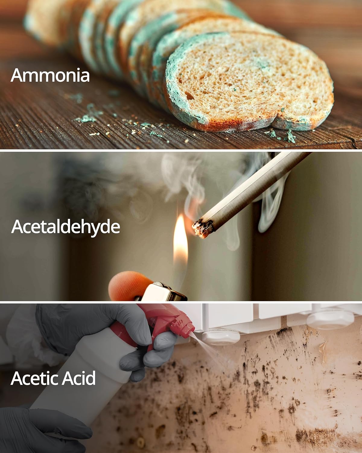 COWAY AP-1512HH & 200M Air Purifier Filter Replacement, Fresh Starter Pack, 2 Fresh Starter Deodorization Filters and 1 True HEPA Filter, 1 Pack, Black