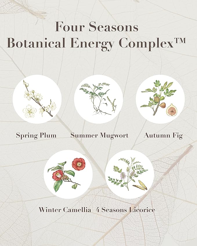 Sooryehan SAGA OF SOO BOTANICAL ENERGY AGE DELAY CREAM GIFT SET (150 ml / 5.07 Fl Oz) - Korean Skin Care by LG BEAUTY. Botanical Energy Cream, Boosting Toner, Balancing Moisturizer, Foam Cleanser.