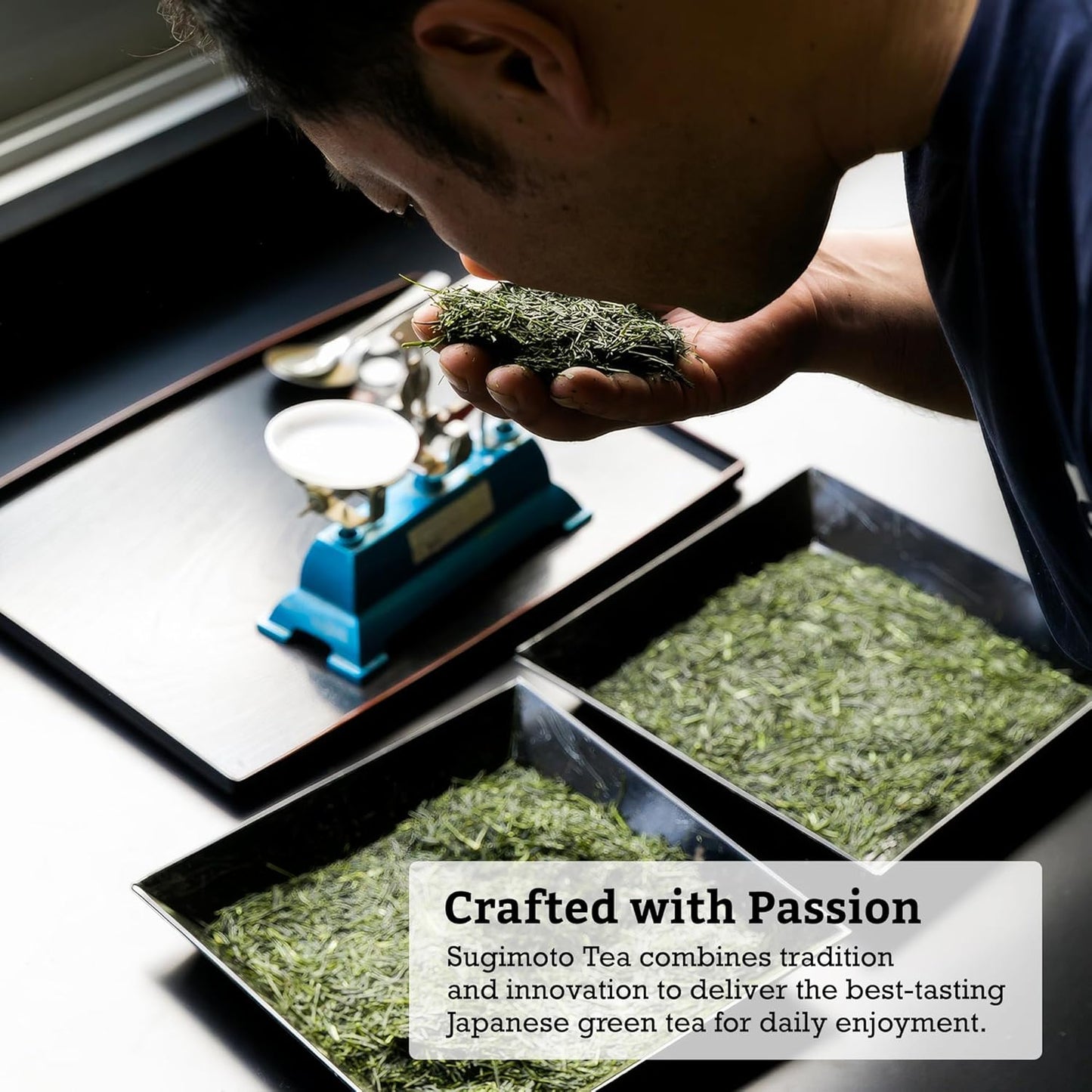 SUGIMOTO TEA Japanese Sencha Green Tea Loose Leaf 3.5 oz (100 g) Pack of 1