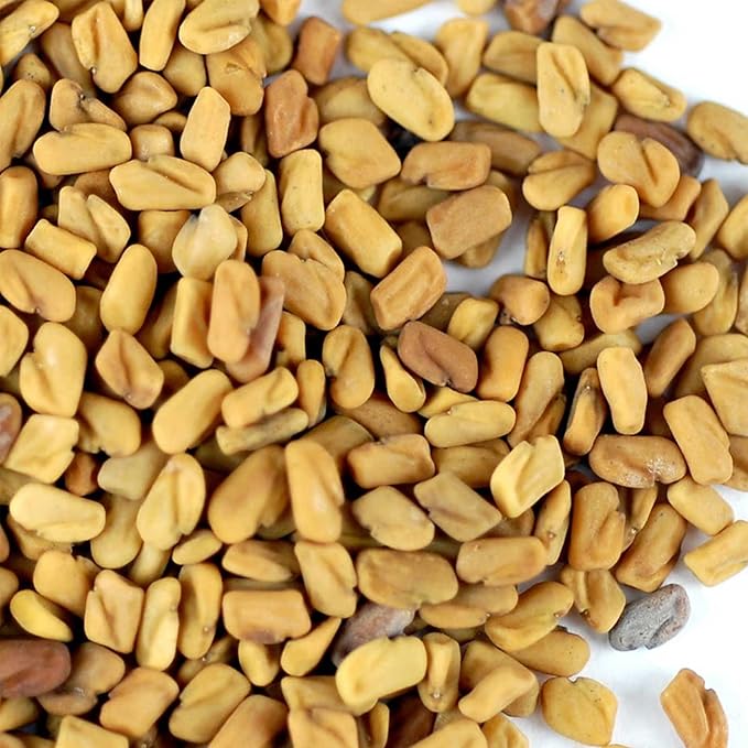 Organic Fenugreek Sprouting Seeds - Seeds for Planting, Hydroponics, Growing Sprouts, Grinding for Spices & More (1 Lb)
