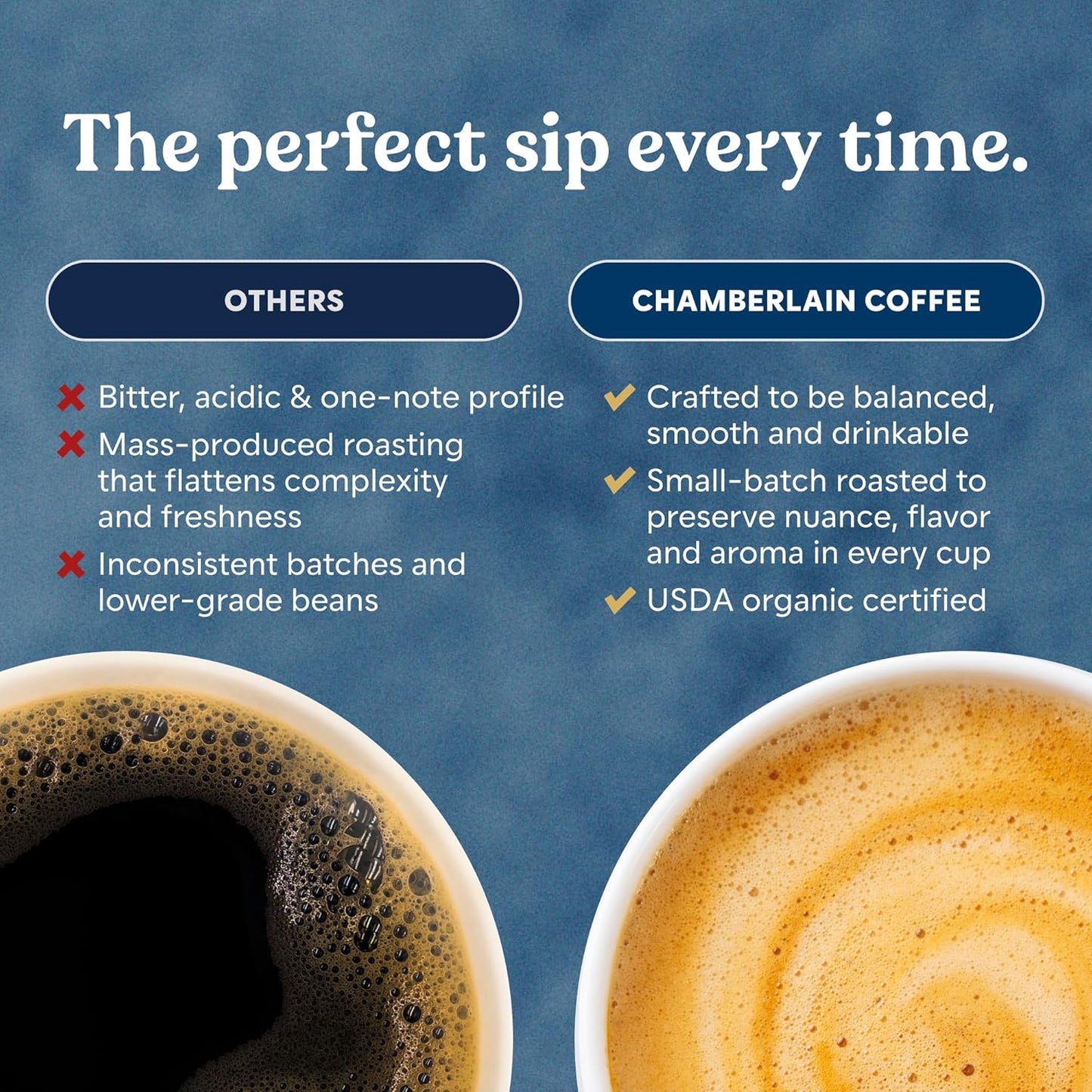 Chamberlain Coffee Flavored Cold Brew Singles Variety Pack – Brew Hot or Iced - Organic Coffee Single Serve Bags - 10 Cold Brew Sachets