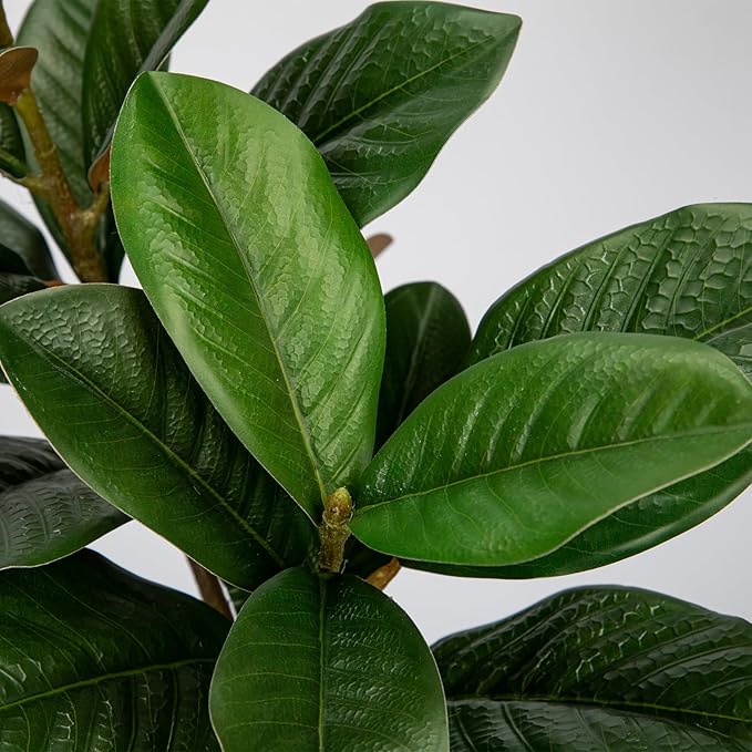 Briful Artificial Magnolia Leaves Stems 3PCS 29.1" Faux Magnolia Branches Fake Greenery Stems for Tall Vase Floral Arrangement Wedding Bouquet Centerpiece Rustic Home Decoration