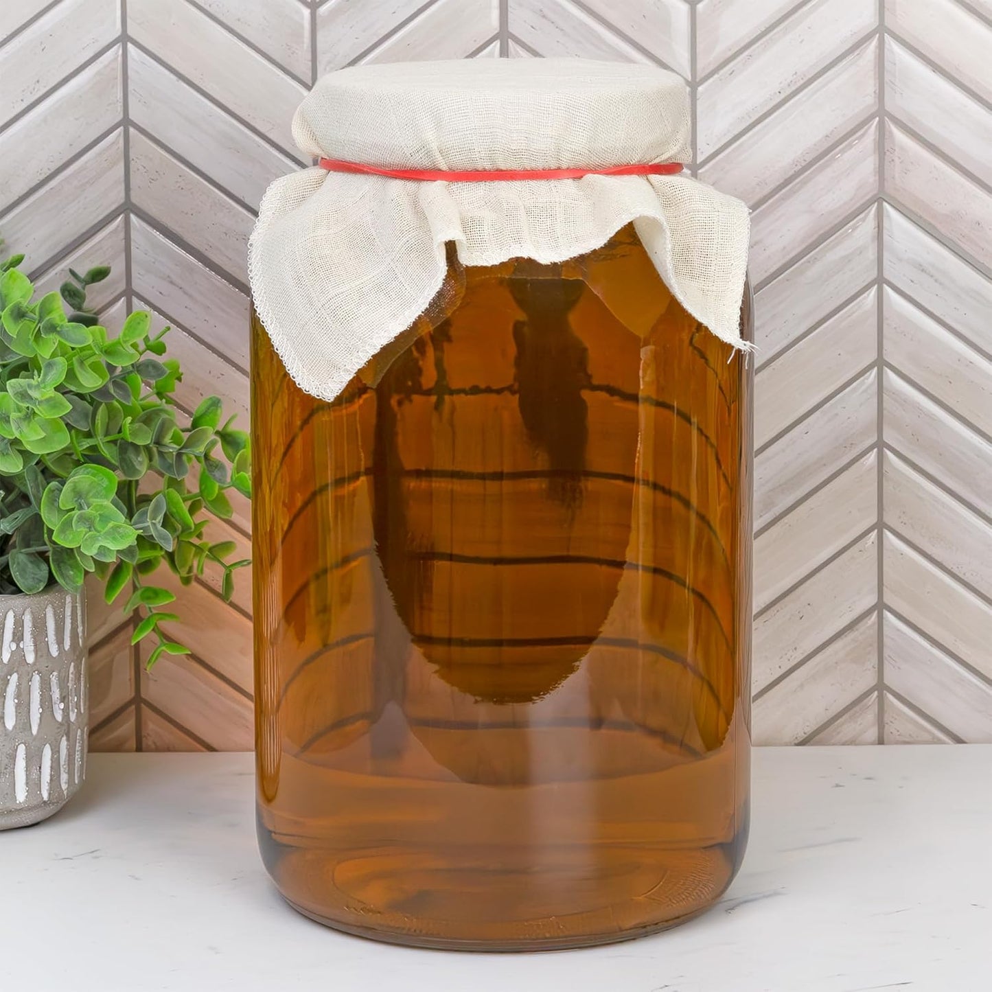 Cornucopia Brands 1 Gallon Glass Kombucha Jar w/Cotton Cloth Cover & Plastic Lid for Storage after Brewing