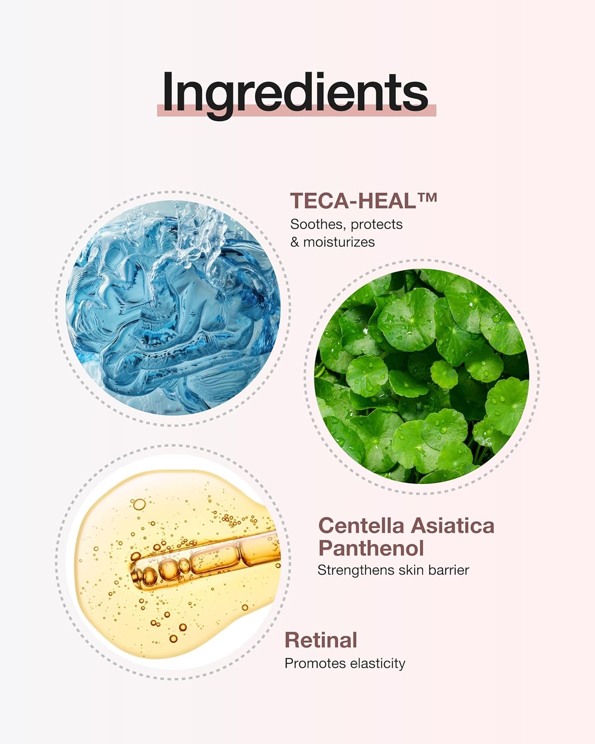 CENTELLIAN 24 Expert Cream (Core Firming, 1.69fl oz) - Premium Firming Moisturizer for Sagging, Dry, Sensitive Skin. Korean Skin Care. Centella Asiatica, TECA, Gotu Kola