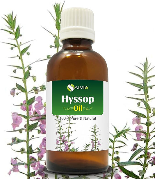 Salvia Hyssop (Hyssopus Officinalis) Oil - 15ml/0.507Fl Oz