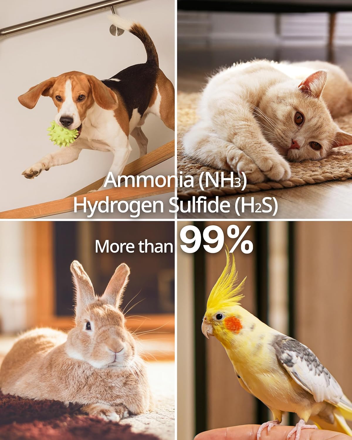 COWAY AP-1512HH & 200M Air Purifier Filter Replacement, Fresh Starter Pack, 2 Fresh Starter Deodorization Filters and 1 True HEPA Filter, 1 Pack, Black