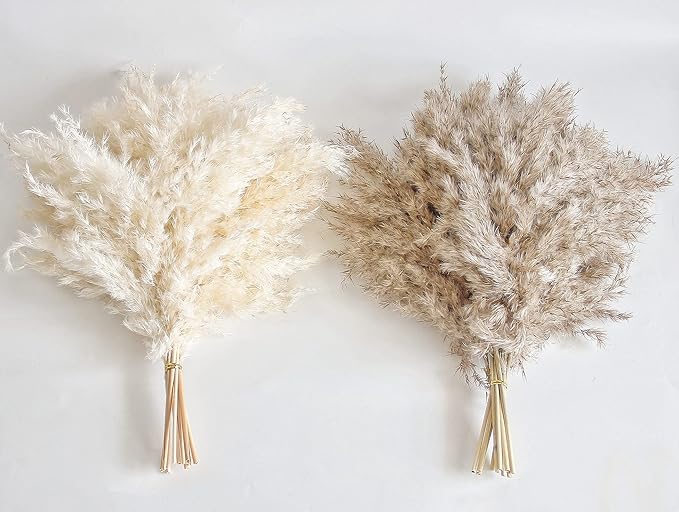30 PCS Boho Decor, Fluffy Pompas Grass, Natural Dry Pampas Grass Small, Short Pampass Bulk for Boho Room Decor, Coffee Table Decor (17 inch )
