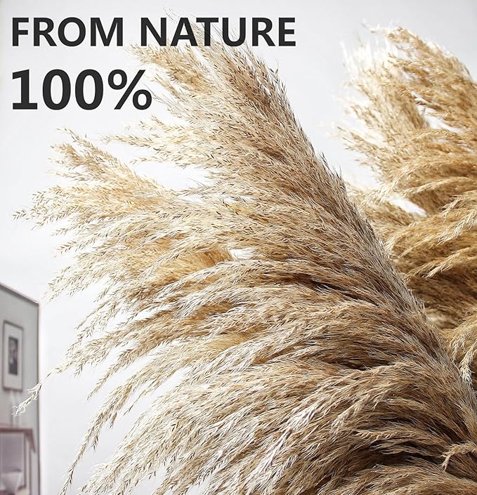 40" inch 10 Stems Pampas Grass Decor Tall, Pampas Grass Bouquet, Natural Dried Flowers for Wedding, Natural Home Decor, Wall Grass, Glam Decor