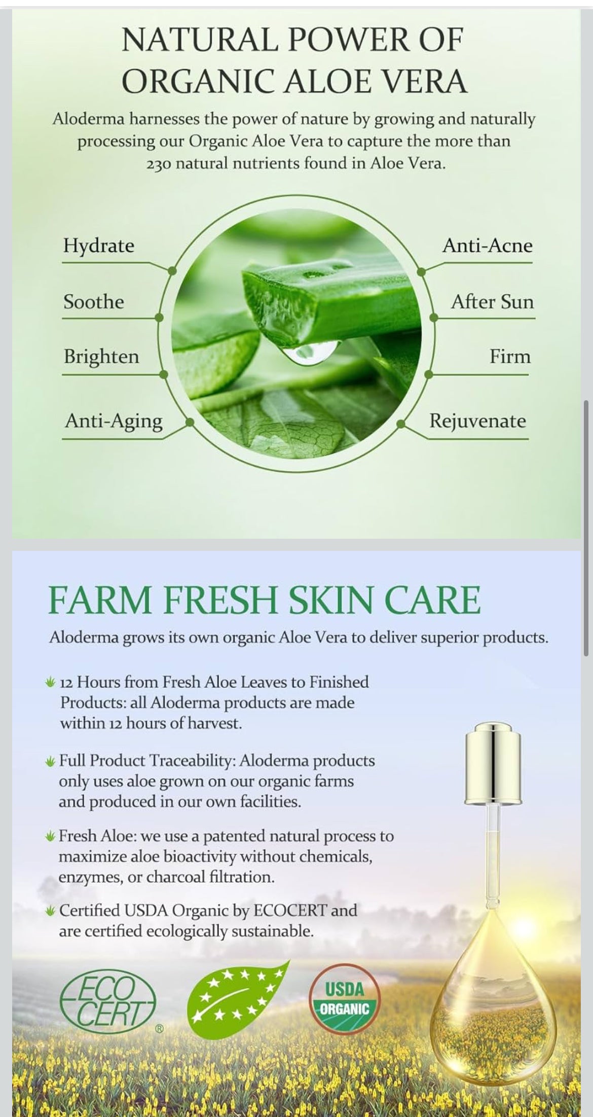 Aloderma Brightening Eye Cream with Organic Aloe Vera - Hydrating Daily Eye Cream for Dark Circles & Puffiness with Caffeine & Sage Oil - Day & Night Eye Cream for Puffy Eyes & Fine Lines, 25g/0.9oz