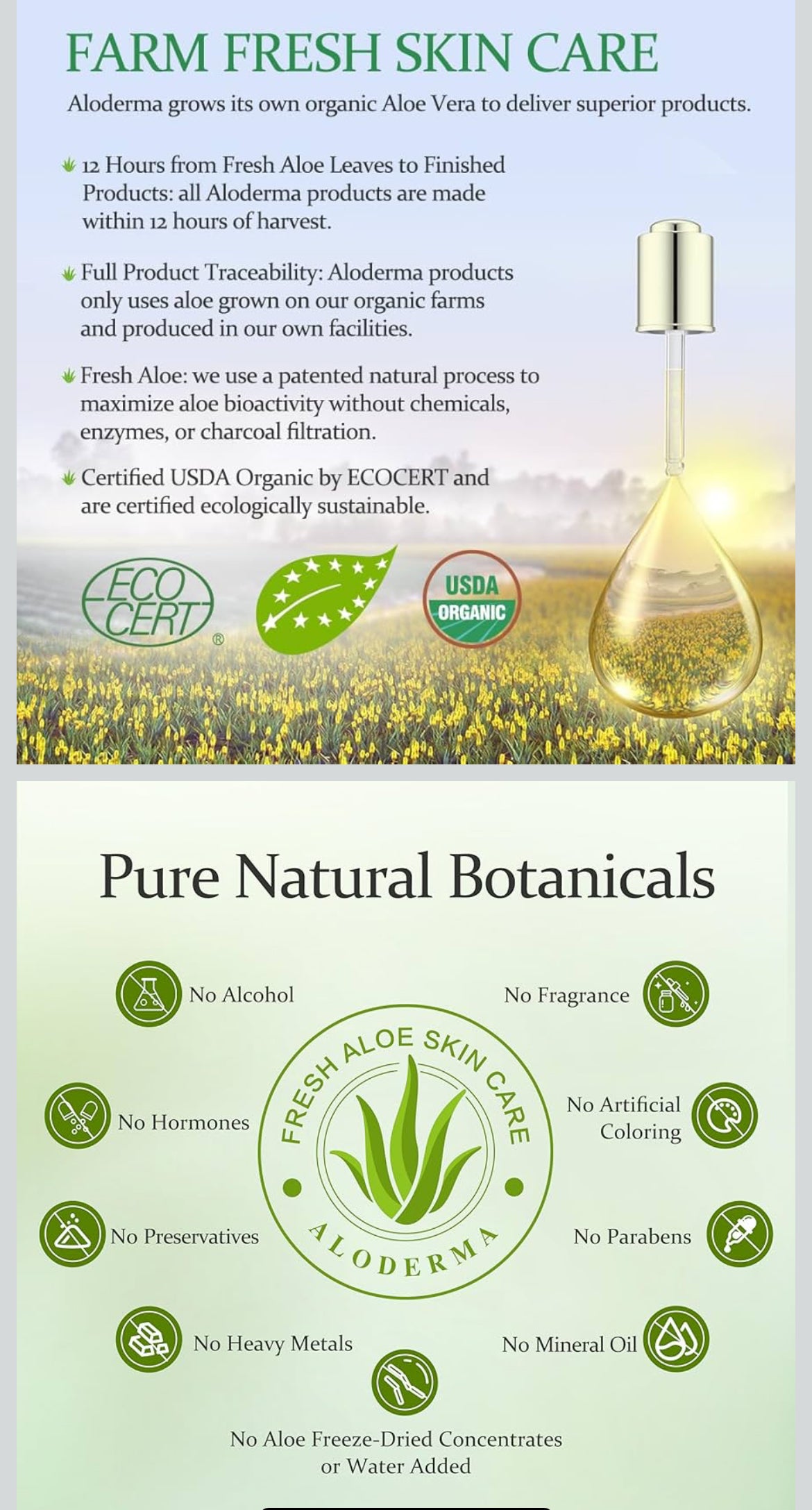 Aloderma Aloe Firming Eye Cream Made with 70% Organic Aloe Vera - Natural Daily Hydrating Eye Cream with Jojoba, Hyaluronic Acid, & Organic Aloe - Reduce Signs of Aging, Fine Lines & Wrinkles, 25g