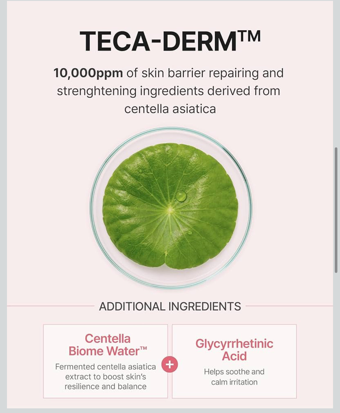 Centellian 24 Madeca Daily Repair Ampoule (Daily Soothing, 1.69fl oz) - Soothing & Hydrating Facial Serum for Sensitive Skin, Skin Barrier Repair & Fast Absorption, Korean Skin Care